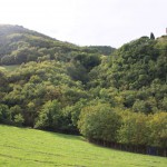 La Via del Latte in Mugello