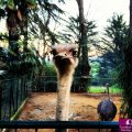 Un giorno allo Zoo di Pistoia