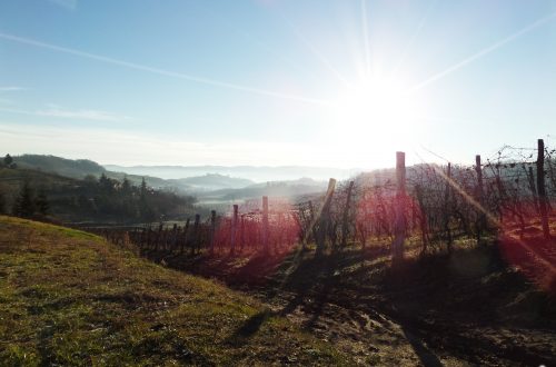 Visitare le Langhe in famiglia