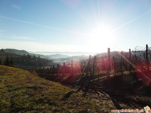 Visitare le Langhe in famiglia