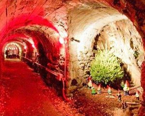 Grotta di Babbo Natale - credits vivimilano