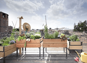 L’orto a misura di balcone