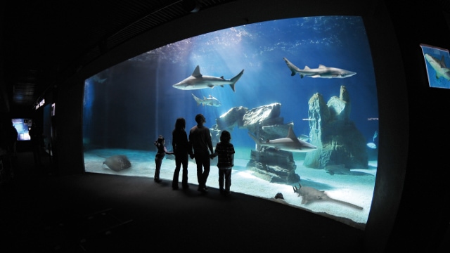 acquario genova