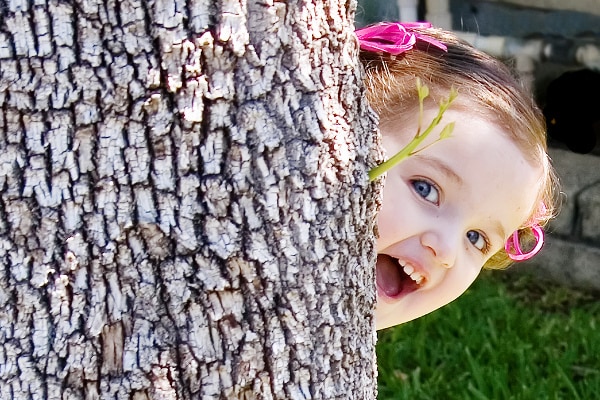 bambina montagna albero