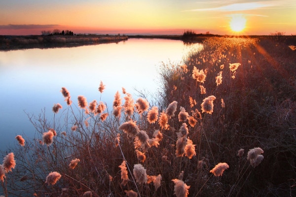 parco delta del po