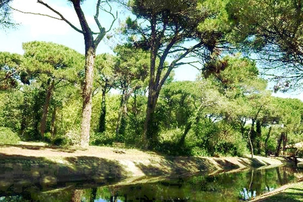 Parco naturale di Cervia