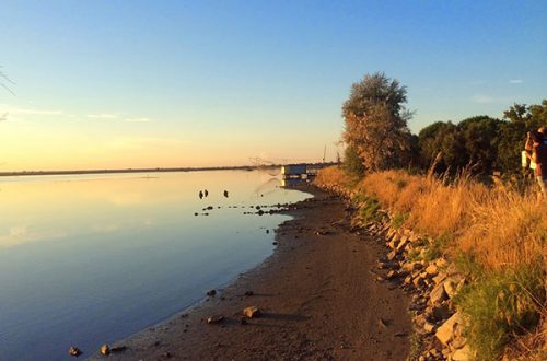 L’estate a Marina Romea: sabbia fine, mare limpido e natura incantata