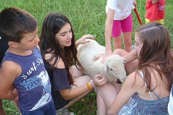 bambini animali fattoria