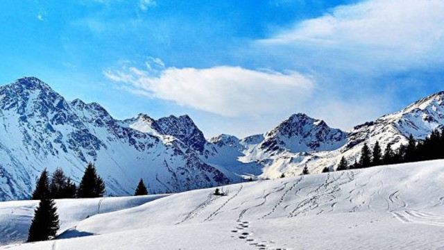 gruppo maddalene trentino