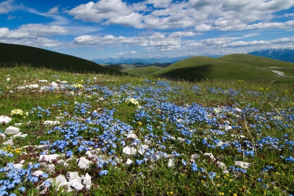 parco abruzzo