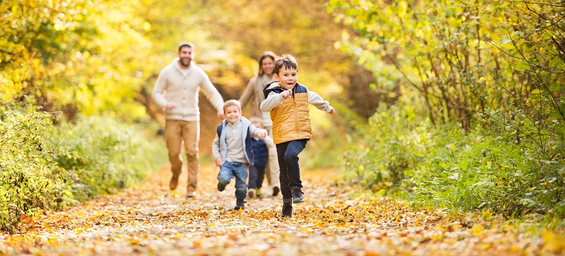 forest bathing con tutta la famiglia