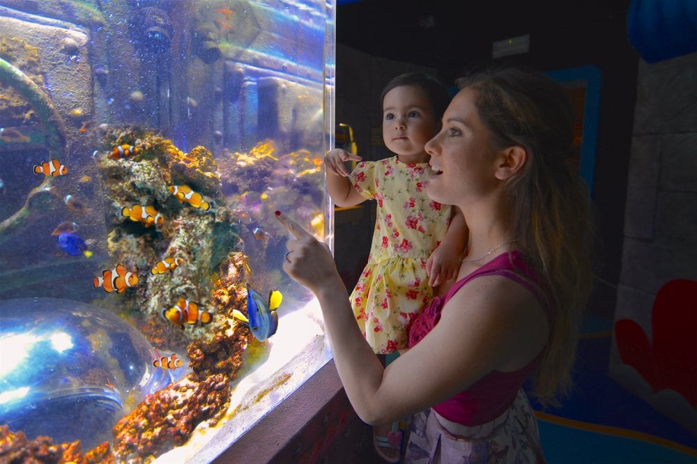 acquario Jesolo