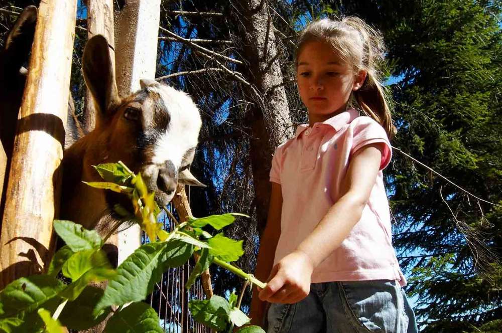 bimba in fattoria