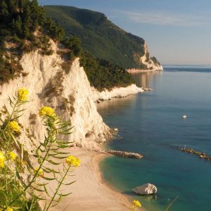 LE MARCHE: UNA REGIONE, MILLE RISORSE