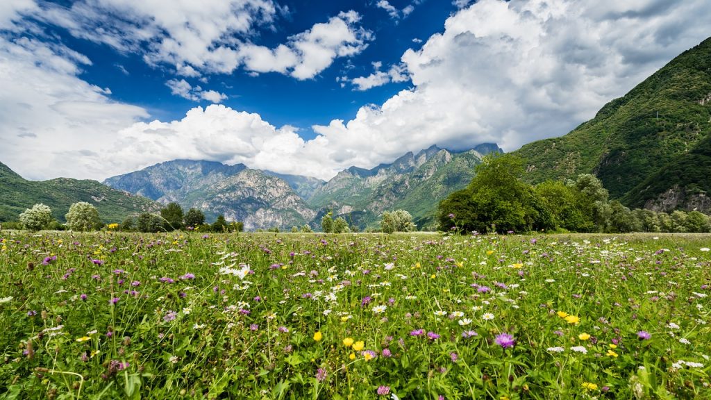 LOMBARDIA, VIZI AD ALTA QUOTA