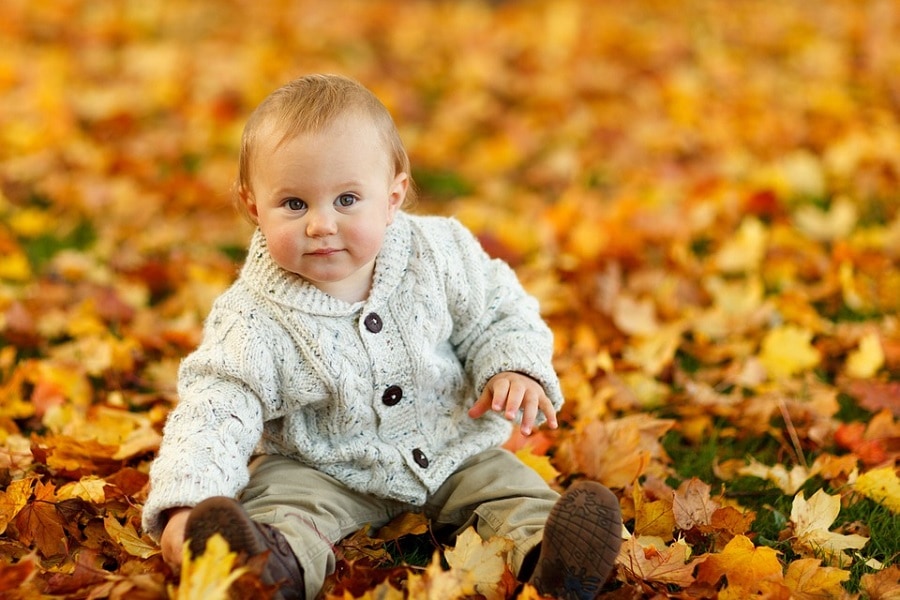 Autunno in famiglia: gite e foliage coi bambini