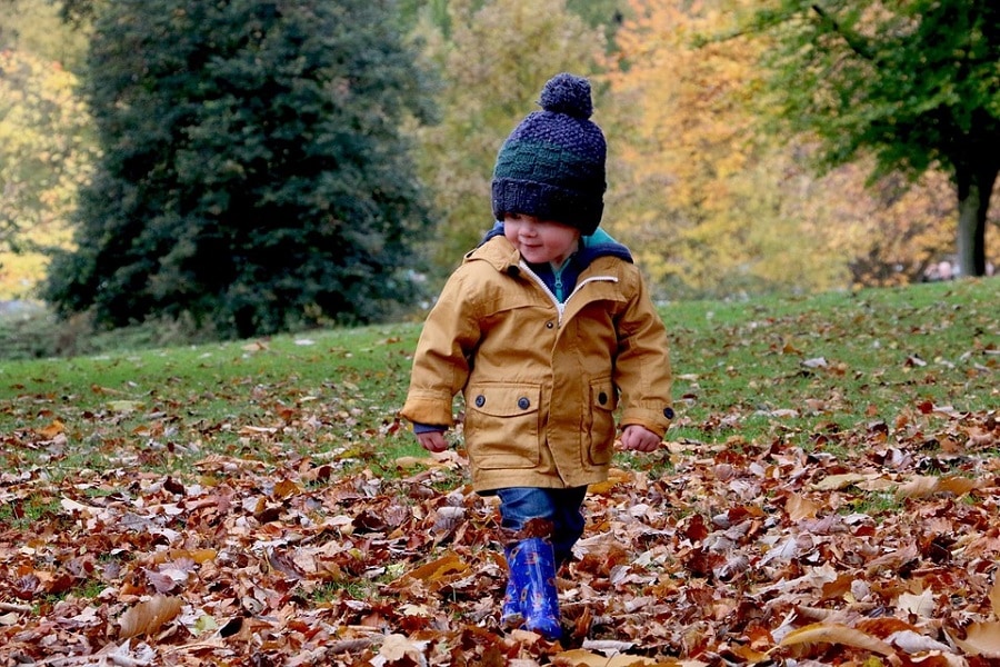 dove vedere il foliage con i bambini in Italia