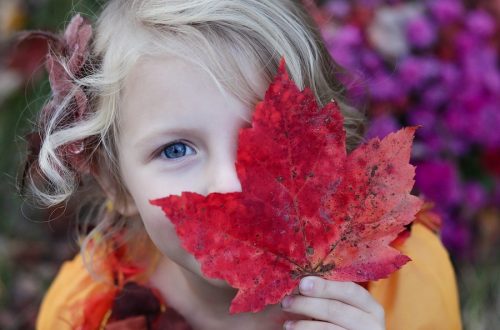 Autunno in famiglia: gite e foliage coi bambini