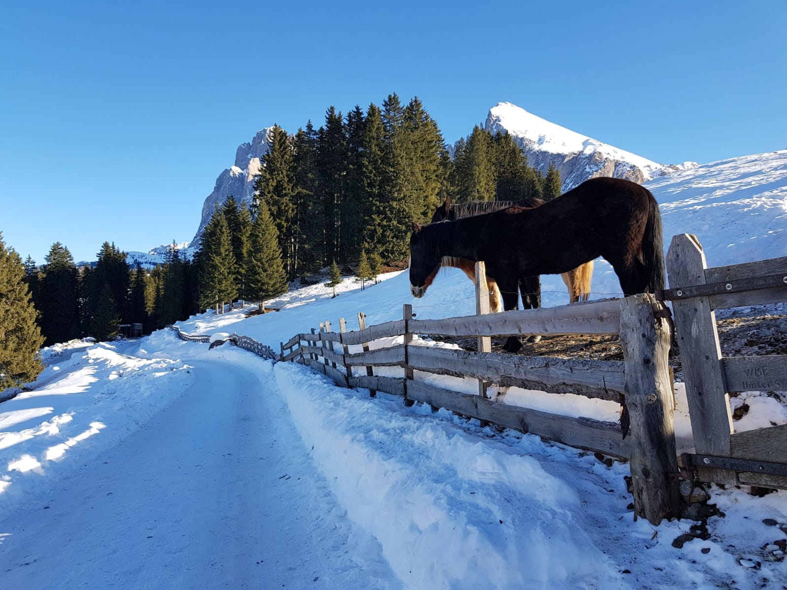 Passeggiate in Val Gardena