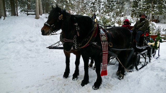 Troika a san Martino di Castrozza