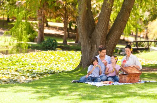 Tempo di picnic sui prati con i bimbi: i nostri consigli