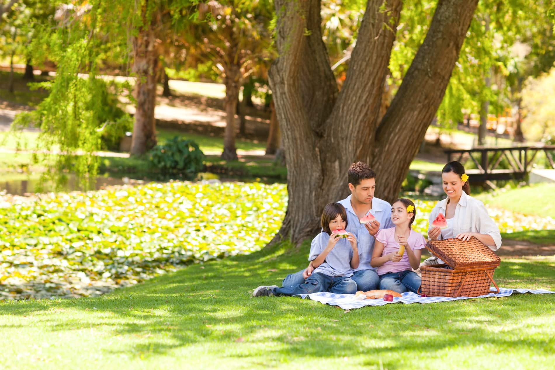 Едим на свежем воздухе. Пикник на природе. Люди в парке. Семья в парке. Люди на лужайке в парке.