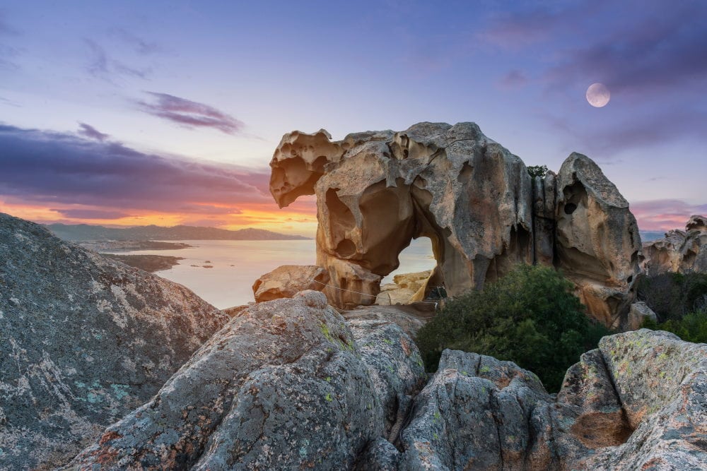 capo d'orso a Palau