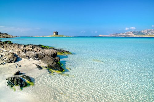 Da Stintino alla scoperta del nord della Sardegna