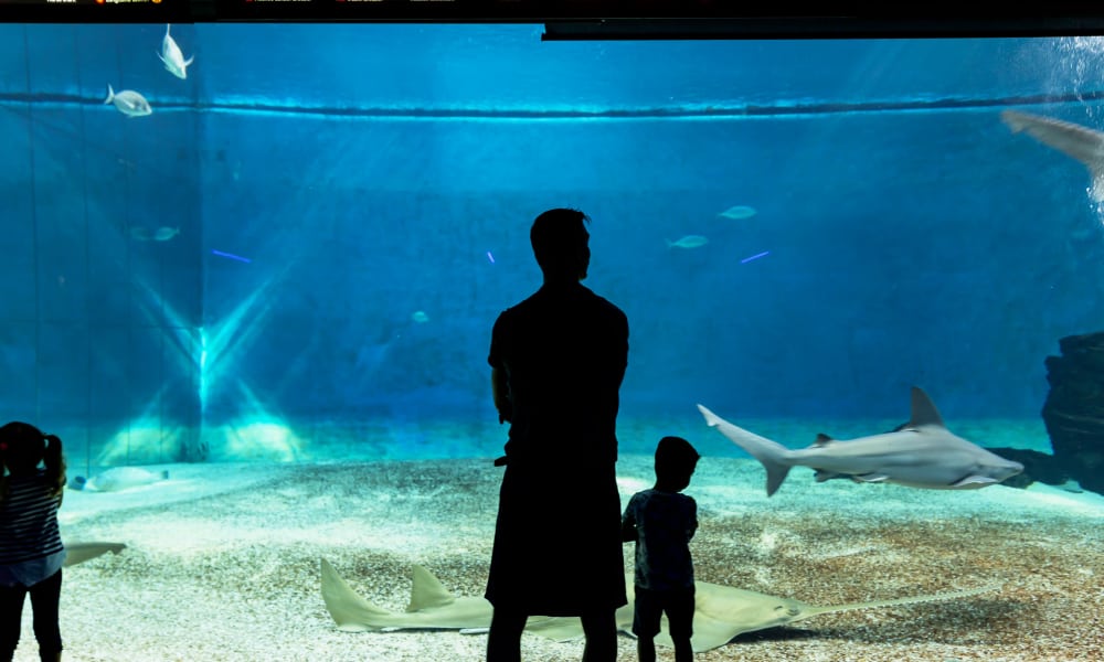 Acquario di Genova