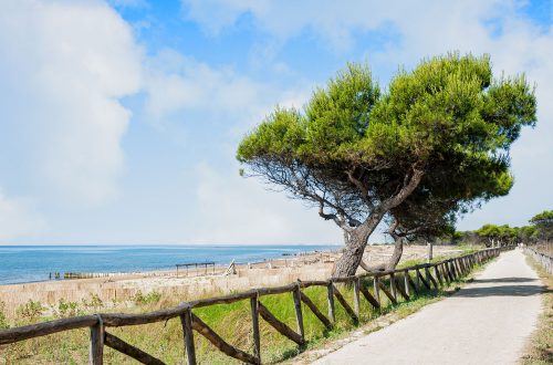 Veneto: le piste ciclabili adatte anche ai bambini