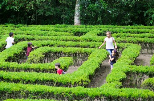 Labirinti da vedere con bambini, i più belli in Italia