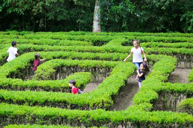 Labirinti da vedere con bambini, i più belli in Italia