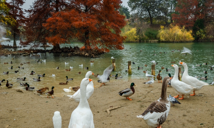 Parco della Cava Rimini