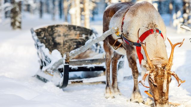 le più belle favole di natale per bambini