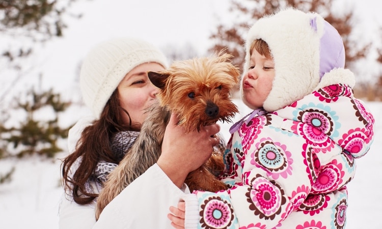 In vacanza con gli animali: 5 cose da sapere prima di partire