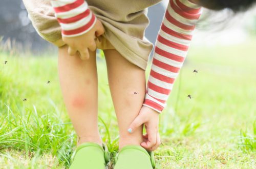 Come proteggere i bambini dalle zanzare