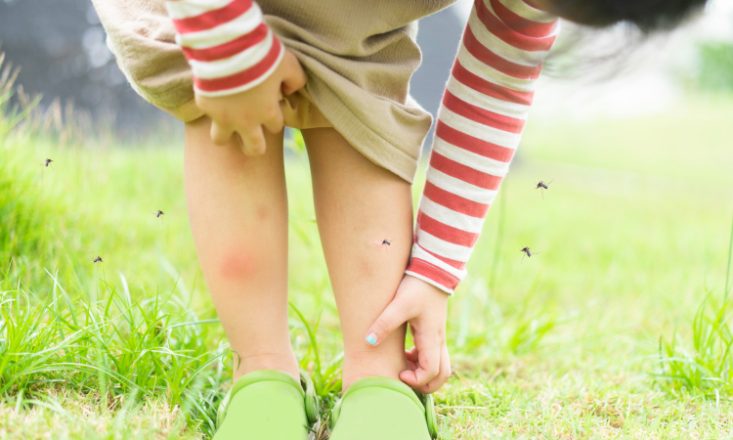 Consigli per proteggere i bambini dalle zanzare… anche in vacanza!