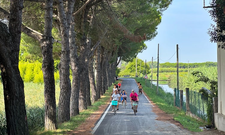 Piste ciclabili lungomare per famiglie in Friuli Venezia Giulia