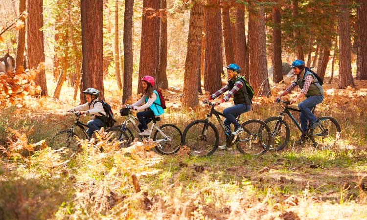 Mountain bike passo tonale
