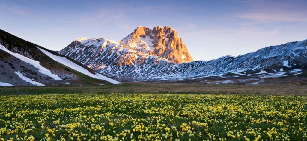 Fioritura al Parco Nazionale del Gran Sasso e Monti della Laga