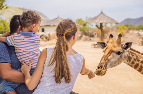 I 10 parchi faunistici più belli d’Italia da vedere con i bambini