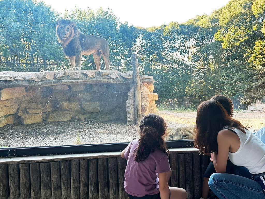 I 10 parchi faunistici più belli d’Italia da vedere con i bambini
