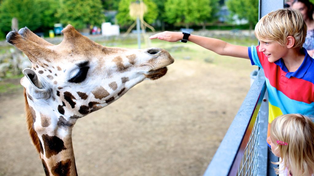 Bimbi insieme alle giraffe del Parco Natura Viva: parchi faunistici in Italia in Veneto