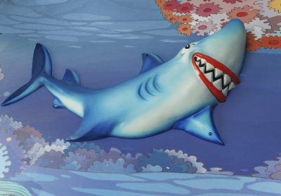 Chambre Sharky
