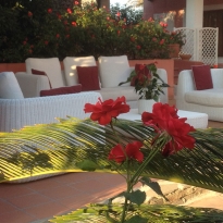 Cala Rosa Club Hotel