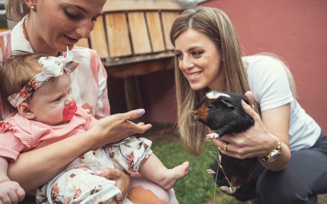 Cavallino Bianco Family Spa Grand Hotel