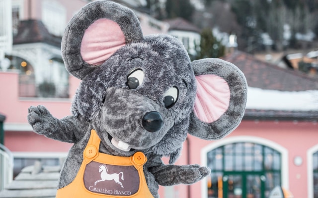 Cavallino Bianco Family Spa Grand Hotel