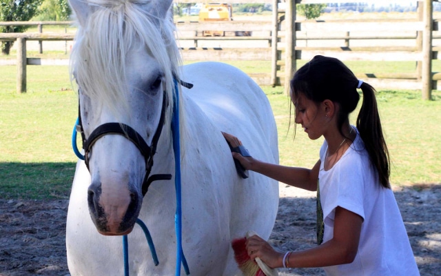 Club Village & Hotel Spiaggia Romea