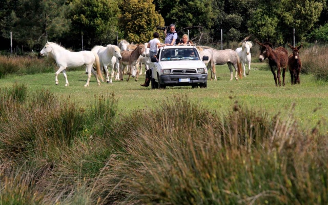 Club Village & Hotel Spiaggia Romea