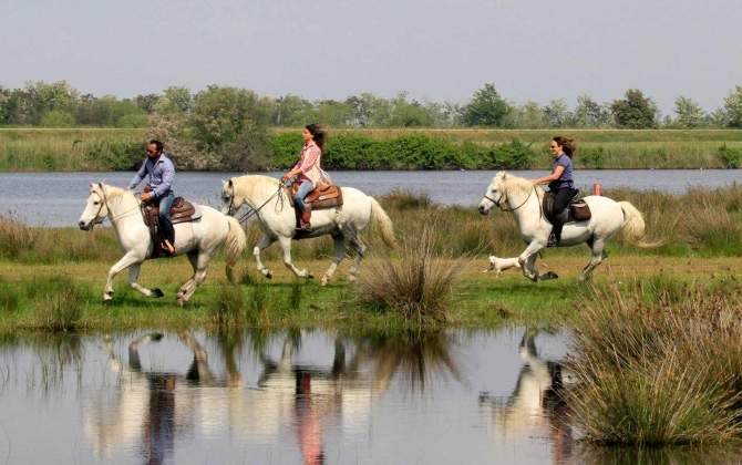 Club Village & Hotel Spiaggia Romea